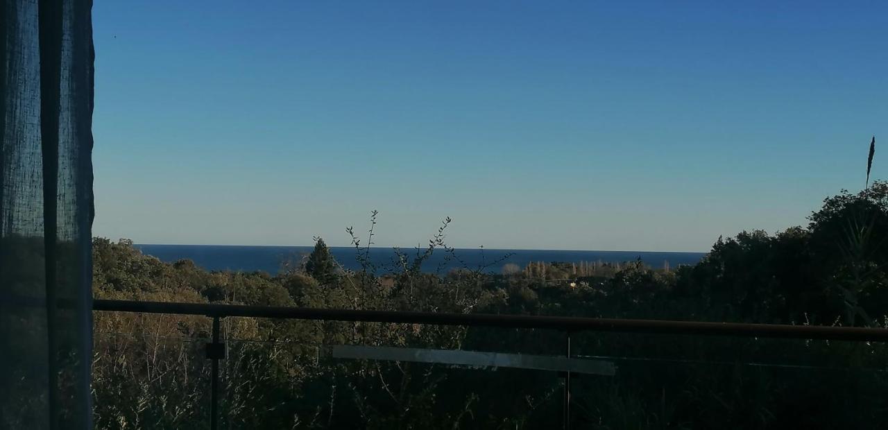 Villa Angelini Valle-di-Campoloro エクステリア 写真